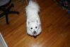 Filename=20130629_003.jpg
Filesize=355KiB
Dimensions=2047x1360
Date added=Jul 17, 2013 20130629_003.jpg