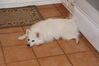Filename=20130629_007.jpg
Filesize=257KiB
Dimensions=2047x1360
Date added=Jul 17, 2013 20130629_007.jpg