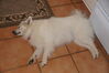 Filename=20130629_008.jpg
Filesize=283KiB
Dimensions=2047x1360
Date added=Jul 17, 2013 20130629_008.jpg