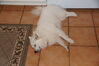 Filename=20130629_009.jpg
Filesize=292KiB
Dimensions=2047x1360
Date added=Jul 17, 2013 20130629_009.jpg