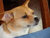 Filename=20130712_007.jpg
Filesize=354KiB
Dimensions=2048x1536
Date added=Dec 21, 2015 20130712_007.jpg