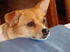 Filename=20130712_008.jpg
Filesize=264KiB
Dimensions=2048x1536
Date added=Dec 21, 2015 20130712_008.jpg