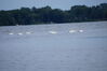 Filename=20130731_001.jpg
Filesize=222KiB
Dimensions=2047x1360
Date added=Jan 29, 2014 20130731_001.jpg