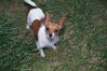 Filename=20130821_001.jpg
Filesize=472KiB
Dimensions=2047x1360
Date added=Jan 29, 2014 20130821_001.jpg