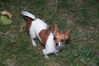 Filename=20130821_002.jpg
Filesize=581KiB
Dimensions=2047x1360
Date added=Jan 29, 2014 20130821_002.jpg