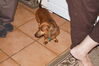 Filename=20130915_004.jpg
Filesize=344KiB
Dimensions=2047x1360
Date added=Jan 29, 2014 20130915_004.jpg