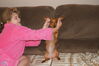 Filename=20130915_007.jpg
Filesize=405KiB
Dimensions=2047x1360
Date added=Jan 29, 2014 20130915_007.jpg