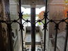 Filename=20131005_008.jpg
Filesize=468KiB
Dimensions=2048x1536
Date added=Dec 11, 2016 20131005_008.jpg