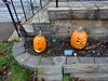 Filename=20131031_003.jpg
Filesize=616KiB
Dimensions=2048x1536
Date added=Dec 11, 2016 20131031_003.jpg