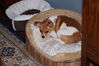 Filename=20131225_001.jpg
Filesize=383KiB
Dimensions=2047x1360
Date added=Dec 22, 2015 20131225_001.jpg