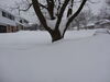 Filename=20140205_008.jpg
Filesize=392KiB
Dimensions=2048x1536
Date added=Dec 11, 2016 20140205_008.jpg