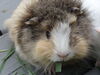 Filename=20140512_003.jpg
Filesize=434KiB
Dimensions=2048x1536
Date added=Jul 17, 2019 20140512_003.jpg