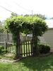Filename=20140814_006.jpg
Filesize=835KiB
Dimensions=1536x2048
Date added=Jan 27, 2017 20140814_006.jpg