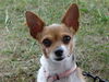Filename=20140814_025.jpg
Filesize=509KiB
Dimensions=2048x1536
Date added=Jan 27, 2017 20140814_025.jpg