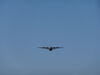 Filename=20140927_003.jpg
Filesize=108KiB
Dimensions=2048x1536
Date added=Feb 05, 2017 20140927_003.jpg