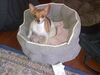 Filename=20141231_001.jpg
Filesize=301KiB
Dimensions=1280x960
Date added=Mar 20, 2015 20141231_001.jpg