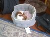 Filename=20141231_004.jpg
Filesize=582KiB
Dimensions=1792x1344
Date added=Mar 20, 2015 20141231_004.jpg