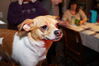 Filename=20150102_011.jpg
Filesize=269KiB
Dimensions=2047x1360
Date added=Dec 24, 2015 20150102_011.jpg