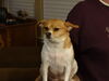 Filename=20150102_038.jpg
Filesize=178KiB
Dimensions=2048x1536
Date added=Dec 24, 2015 20150102_038.jpg