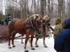 Filename=20150314_005.jpg
Filesize=851KiB
Dimensions=2048x1536
Date added=Dec 24, 2015 20150314_005.jpg