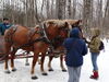 Filename=20150314_006.jpg
Filesize=766KiB
Dimensions=2048x1536
Date added=Dec 24, 2015 20150314_006.jpg
