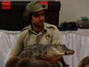 Filename=20150315_007.jpg
Filesize=260KiB
Dimensions=2048x1536
Date added=Dec 24, 2015 20150315_007.jpg