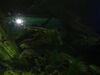 Filename=20150509_014.jpg
Filesize=244KiB
Dimensions=2048x1536
Date added=Dec 22, 2015 20150509_014.jpg