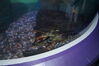 Filename=20150509_024.jpg
Filesize=341KiB
Dimensions=2047x1360
Date added=Dec 22, 2015 20150509_024.jpg