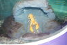Filename=20150509_025.jpg
Filesize=422KiB
Dimensions=2047x1360
Date added=Dec 22, 2015 20150509_025.jpg