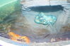 Filename=20150509_026.jpg
Filesize=363KiB
Dimensions=2047x1360
Date added=Dec 22, 2015 20150509_026.jpg