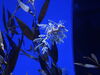 Filename=20150509_067.jpg
Filesize=283KiB
Dimensions=2048x1536
Date added=Dec 22, 2015 20150509_067.jpg