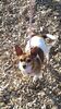 Filename=20150606_003.jpg
Filesize=468KiB
Dimensions=1152x2048
Date added=Sep 24, 2016 20150606_003.jpg