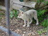 Filename=20150620_007.jpg
Filesize=763KiB
Dimensions=2048x1536
Date added=Dec 29, 2015 20150620_007.jpg