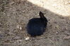 Filename=20150620_017.jpg
Filesize=558KiB
Dimensions=2047x1360
Date added=Dec 29, 2015 20150620_017.jpg