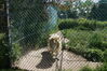 Filename=20150620_022.jpg
Filesize=1148KiB
Dimensions=2047x1360
Date added=Dec 29, 2015 20150620_022.jpg