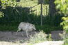 Filename=20150620_025.jpg
Filesize=654KiB
Dimensions=2047x1360
Date added=Dec 29, 2015 20150620_025.jpg