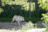 Filename=20150620_029.jpg
Filesize=640KiB
Dimensions=2047x1360
Date added=Dec 29, 2015 20150620_029.jpg