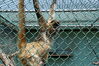 Filename=20150620_030.jpg
Filesize=654KiB
Dimensions=2047x1360
Date added=Dec 29, 2015 20150620_030.jpg