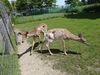 Filename=20150620_032.jpg
Filesize=1084KiB
Dimensions=2048x1536
Date added=Dec 29, 2015 20150620_032.jpg