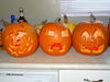 Filename=20151031_003.jpg
Filesize=395KiB
Dimensions=2048x1536
Date added=Apr 03, 2016 20151031_003.jpg