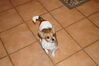 Filename=20151202_002.jpg
Filesize=293KiB
Dimensions=2047x1360
Date added=Apr 03, 2016 20151202_002.jpg