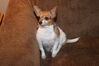 Filename=20151225_077.jpg
Filesize=611KiB
Dimensions=2047x1360
Date added=Apr 03, 2016 20151225_077.jpg
