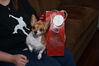 Filename=20151225_187.jpg
Filesize=266KiB
Dimensions=2047x1360
Date added=Apr 03, 2016 20151225_187.jpg