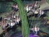 Filename=20151231_019.jpg
Filesize=552KiB
Dimensions=2048x1536
Date added=Apr 03, 2016 20151231_019.jpg