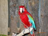 Filename=20160319_013.jpg
Filesize=586KiB
Dimensions=2048x1536
Date added=Sep 25, 2016 20160319_013.jpg