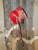 Filename=20160319_014.jpg
Filesize=610KiB
Dimensions=1536x2048
Date added=Sep 25, 2016 20160319_014.jpg