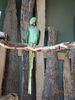 Filename=20160319_016.jpg
Filesize=384KiB
Dimensions=1536x2048
Date added=Sep 25, 2016 20160319_016.jpg