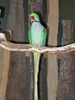 Filename=20160319_017.jpg
Filesize=417KiB
Dimensions=1536x2048
Date added=Sep 25, 2016 20160319_017.jpg