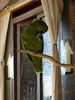 Filename=20160319_020.jpg
Filesize=312KiB
Dimensions=1536x2048
Date added=Sep 25, 2016 20160319_020.jpg