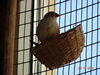Filename=20160319_042.jpg
Filesize=401KiB
Dimensions=2048x1536
Date added=Sep 25, 2016 20160319_042.jpg